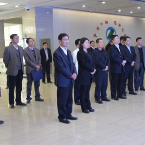 �V�����|(zh��)�O(ji��n)�ց���̩�{(di��o)�й������՘˜ʻ�����