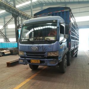 2017010338 �O�Ę� 3t����