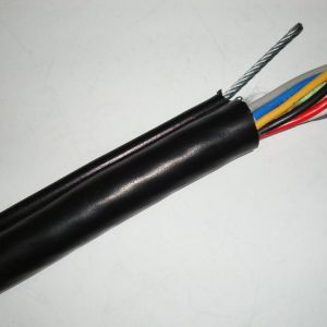 ɽ�|ʡ��(y��u)�|(zh��)늾�(xi��n)��|���a(ch��n)�������(h��)��̩