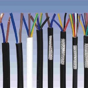 ������|����|���N��е�һ�N��ʲô�ǿ�����|��